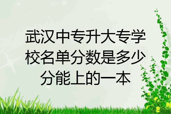武汉中专升大专学校名单分数是多少分能上的一本