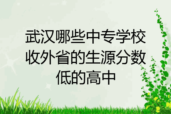 武汉哪些中专学校收外省的生源分数低的高中