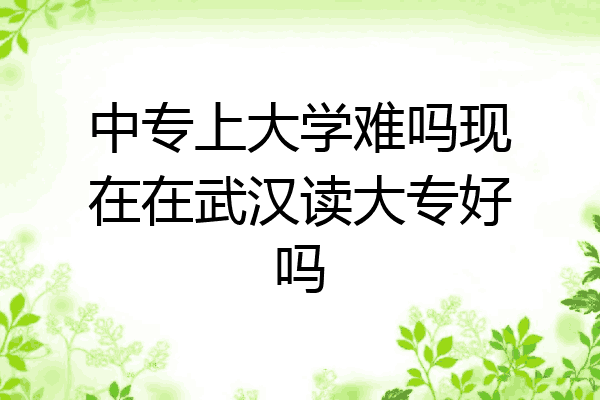 中专上大学难吗现在在武汉读大专好吗