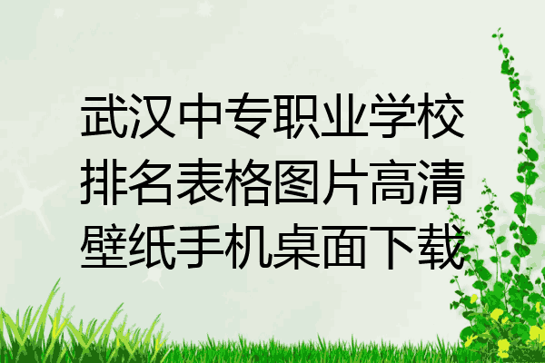 武汉中专职业学校排名表格图片高清壁纸手机桌面下载