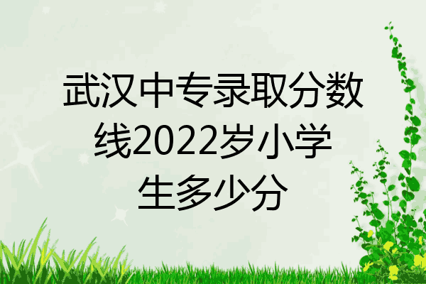 武汉中专录取分数线2022岁小学生多少分