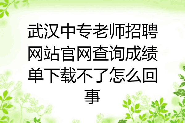 武汉中专老师招聘网站官网查询成绩单下载不了怎么回事