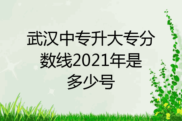 武汉中专升大专分数线2021年是多少号