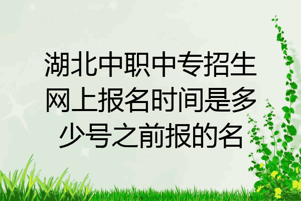 湖北中职中专招生网上报名时间是多少号之前报的名