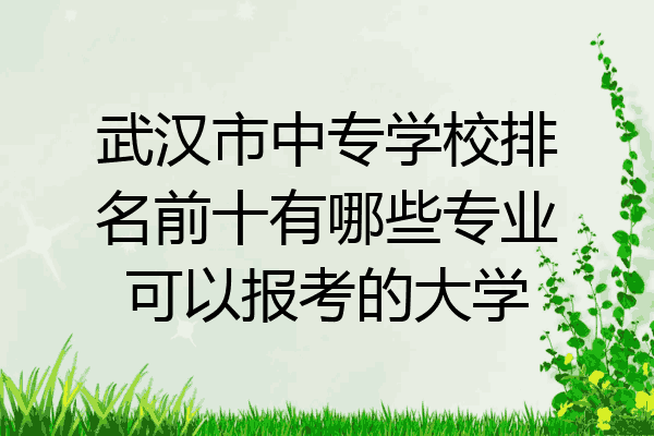 武汉市中专学校排名前十有哪些专业可以报考的大学