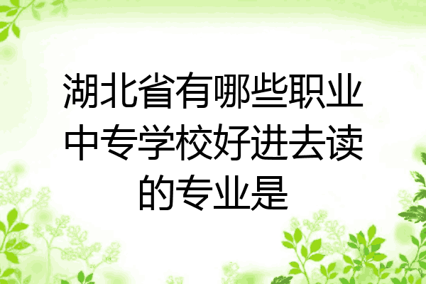 湖北省有哪些职业中专学校好进去读的专业是