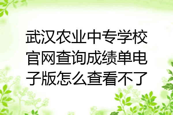 武汉农业中专学校官网查询成绩单电子版怎么查看不了