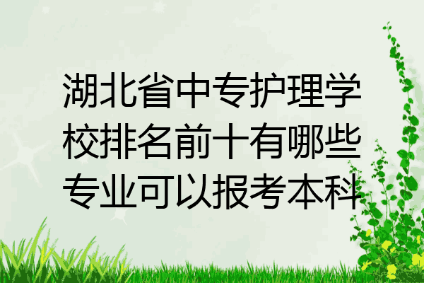 湖北省中专护理学校排名前十有哪些专业可以报考本科