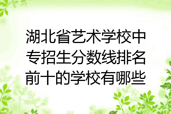 湖北省艺术学校中专招生分数线排名前十的学校有哪些