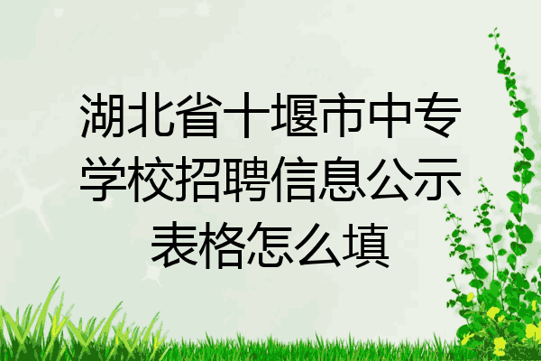 湖北省十堰市中专学校招聘信息公示表格怎么填