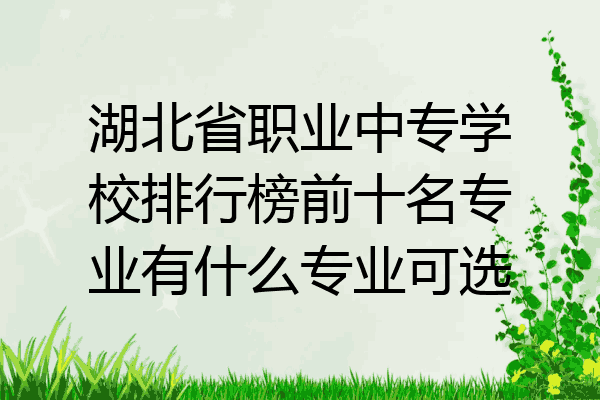 湖北省职业中专学校排行榜前十名专业有什么专业可选