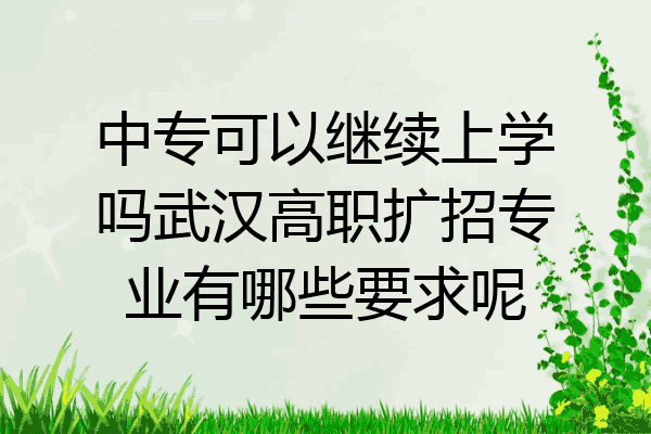 中专可以继续上学吗武汉高职扩招专业有哪些要求呢