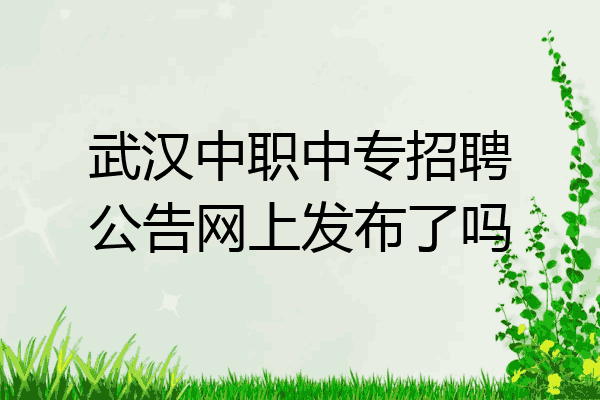 武汉中职中专招聘公告网上发布了吗