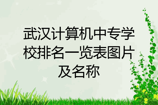 武汉计算机中专学校排名一览表图片及名称