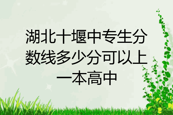 湖北十堰中专生分数线多少分可以上一本高中