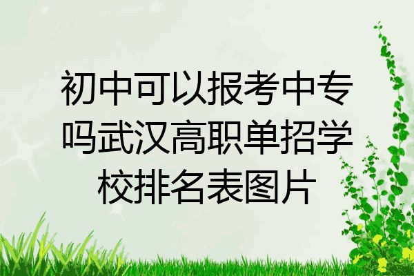 初中可以报考中专吗武汉高职单招学校排名表图片