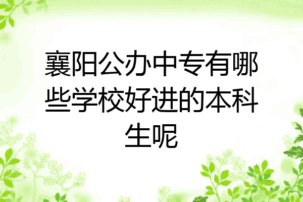 襄阳公办中专有哪些学校好进的本科生呢