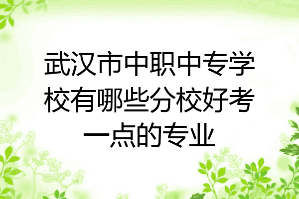 武汉市中职中专学校有哪些分校好考一点的专业