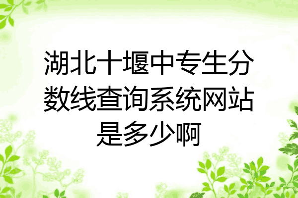 湖北十堰中专生分数线查询系统网站是多少啊