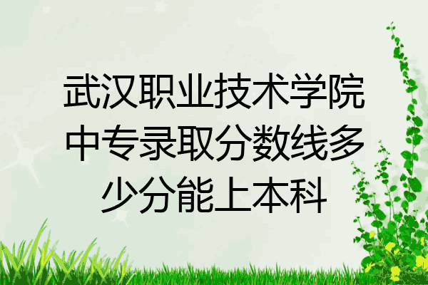 武汉职业技术学院中专录取分数线多少分能上本科