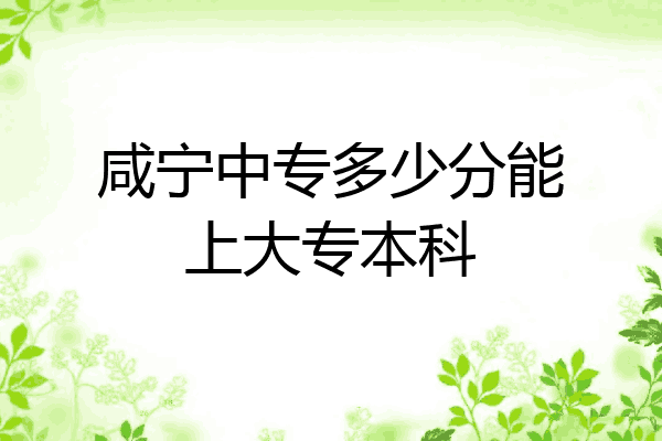 咸宁中专多少分能上大专本科
