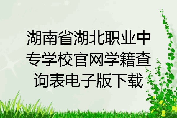 湖南省湖北职业中专学校官网学籍查询表电子版下载