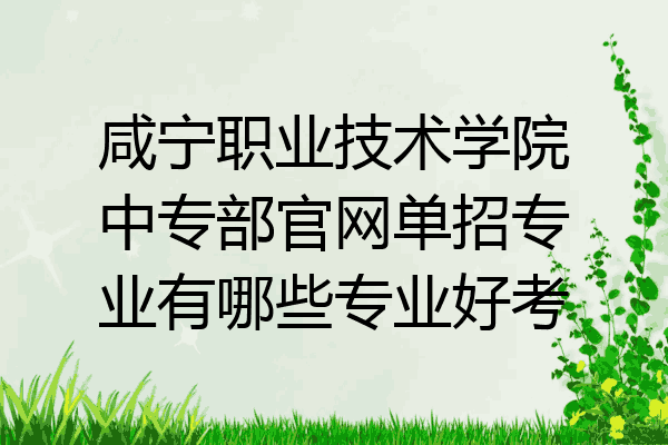 咸宁职业技术学院中专部官网单招专业有哪些专业好考