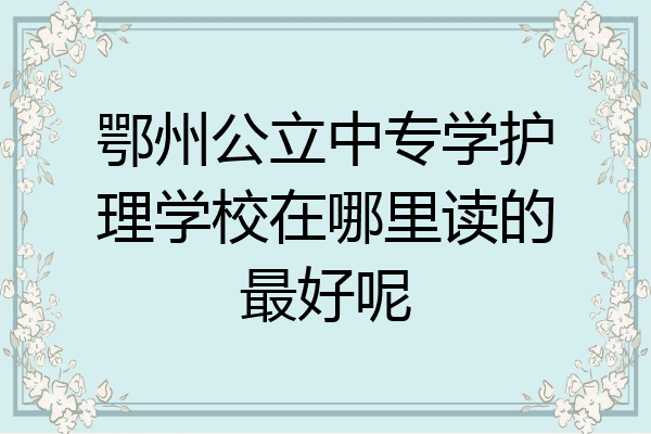鄂州公立中专学护理学校在哪里读的最好呢