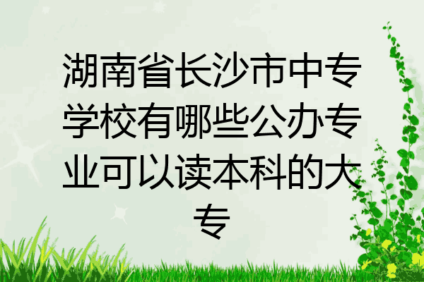 湖南省长沙市中专学校有哪些公办专业可以读本科的大专