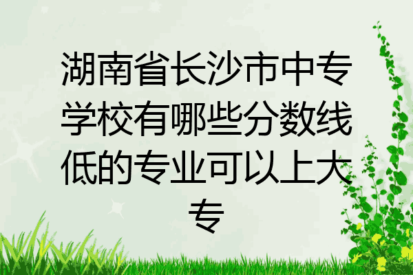 湖南省长沙市中专学校有哪些分数线低的专业可以上大专