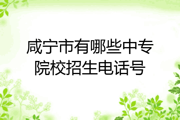 咸宁市有哪些中专院校招生电话号