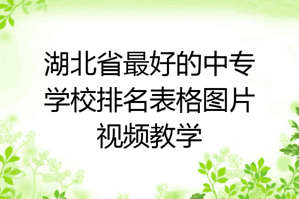 湖北省最好的中专学校排名表格图片视频教学