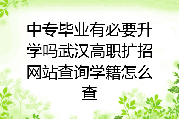 中专毕业有必要升学吗武汉高职扩招网站查询学籍怎么查