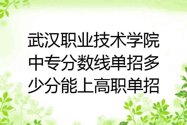 武汉职业技术学院中专分数线单招多少分能上高职单招