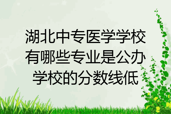 湖北中专医学学校有哪些专业是公办学校的分数线低