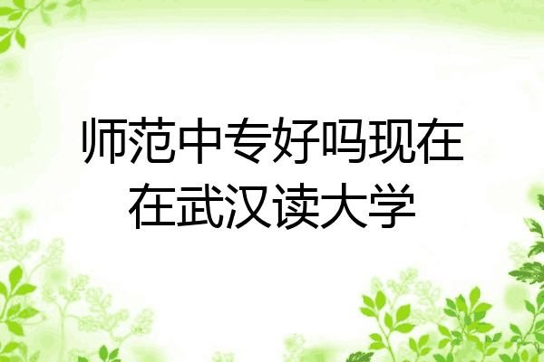 师范中专好吗现在在武汉读大学