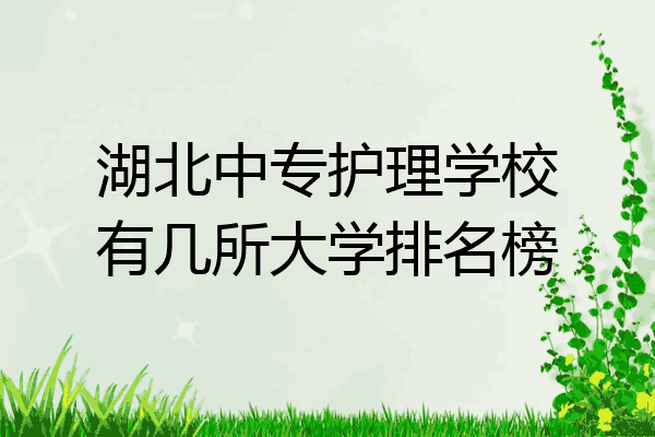 湖北中专护理学校有几所大学排名榜