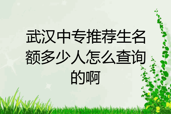 武汉中专推荐生名额多少人怎么查询的啊