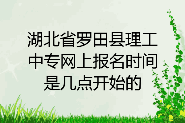 湖北省罗田县理工中专网上报名时间是几点开始的