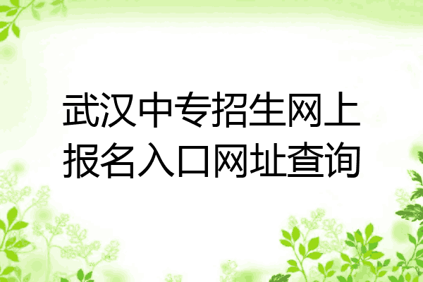 武汉中专招生网上报名入口网址查询