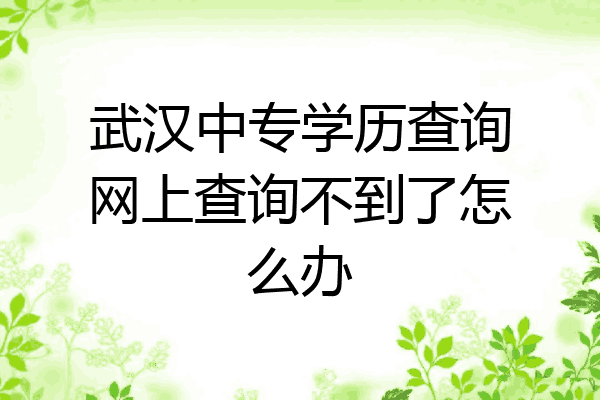 武汉中专学历查询网上查询不到了怎么办