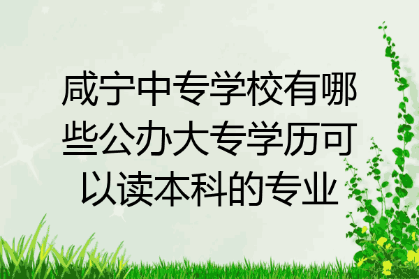 咸宁中专学校有哪些公办大专学历可以读本科的专业