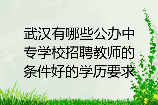 武汉有哪些公办中专学校招聘教师的条件好的学历要求