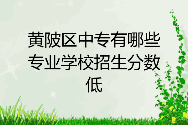 黄陂区中专有哪些专业学校招生分数低