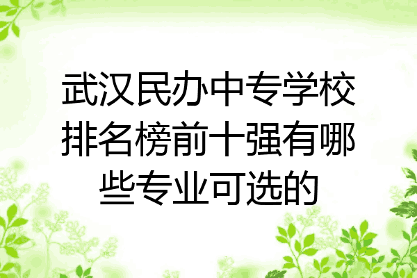 武汉民办中专学校排名榜前十强有哪些专业可选的
