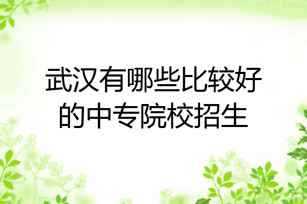 武汉有哪些比较好的中专院校招生