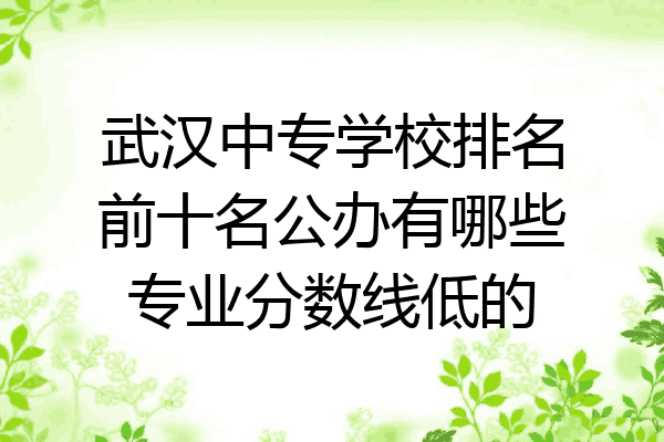 武汉中专学校排名前十名公办有哪些专业分数线低的