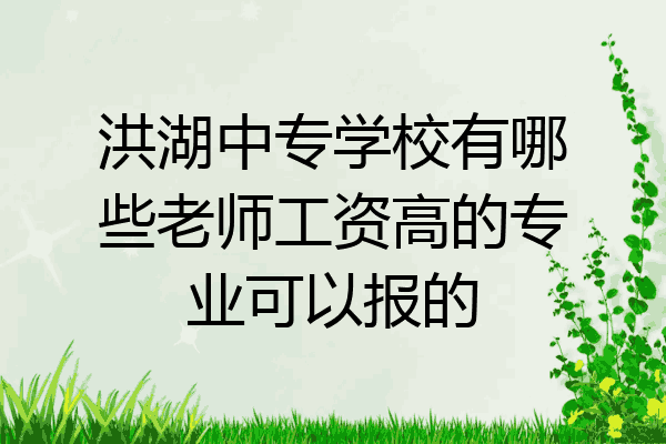 洪湖中专学校有哪些老师工资高的专业可以报的