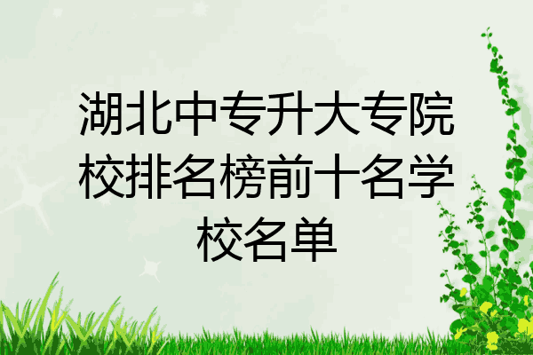 湖北中专升大专院校排名榜前十名学校名单