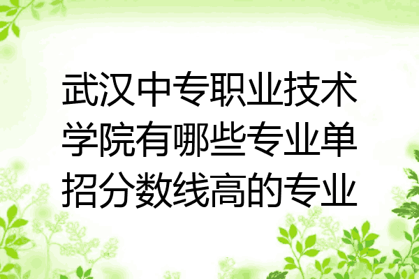 武汉中专职业技术学院有哪些专业单招分数线高的专业